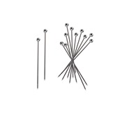 Φωτογραφία (TC) 12258